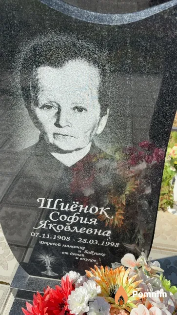 Шиёнок София Яковлевна
