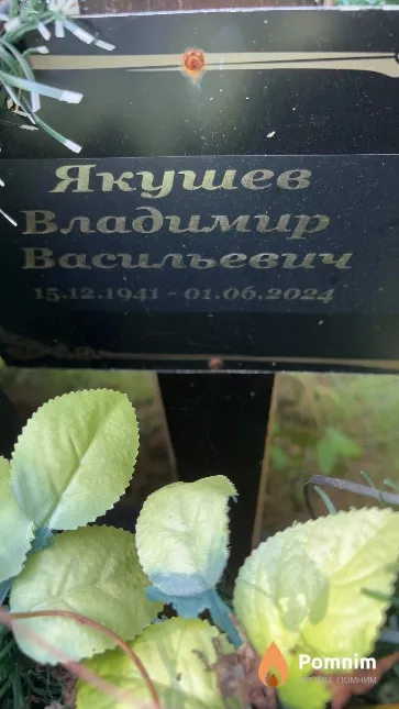 Якушев Владимир Васильевич