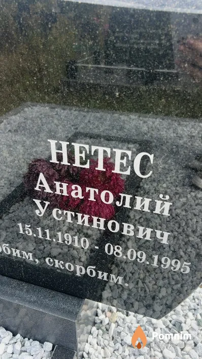 Нетес Анатолий Устинович