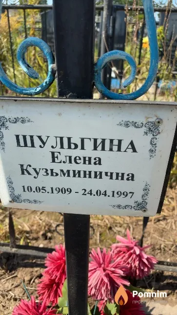 Шульгина Елена Кузьминична