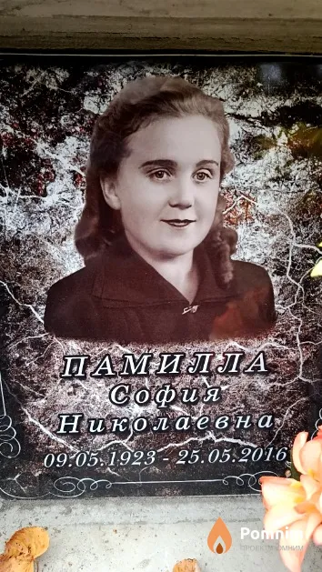 Памилла София Николаевна