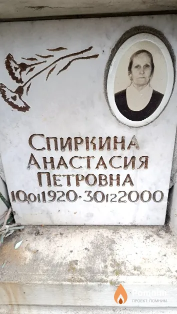 Спиркина Анастасия Петровна