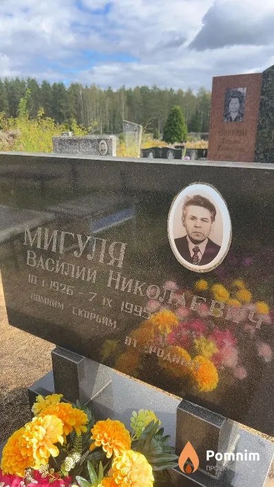 Мигуля Василий Николаевич