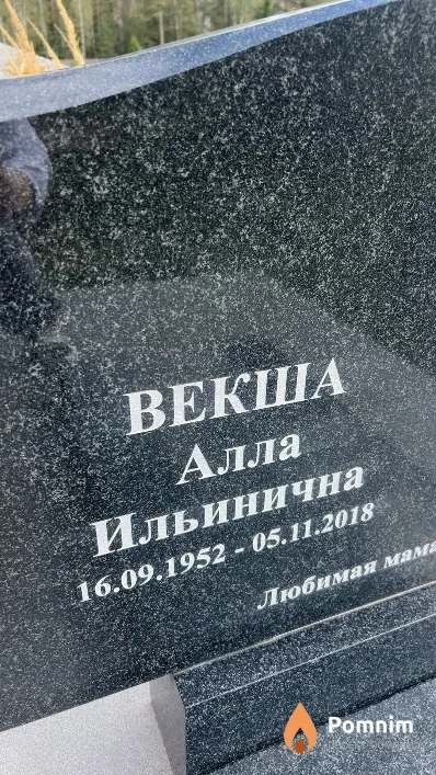 Векша Алла Ильинична