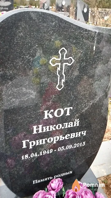 Кот Николай Григорьевич