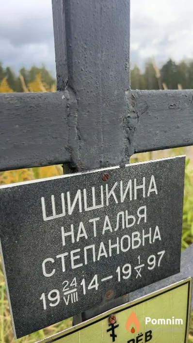 Шишкина Наталья Степановна