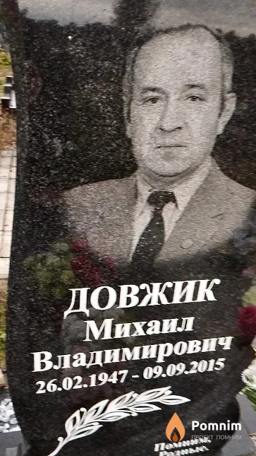 Довжик Михаил Владимирович