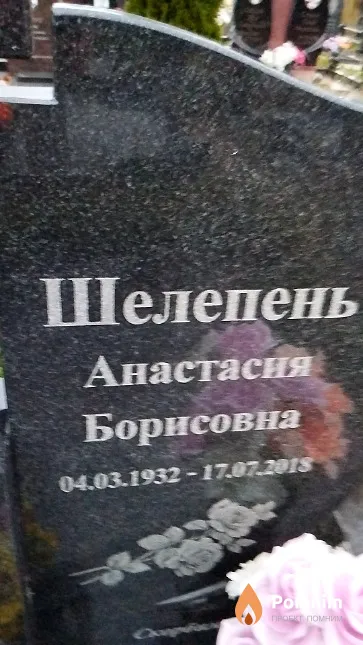 Шелепень Анастасия Борисовна