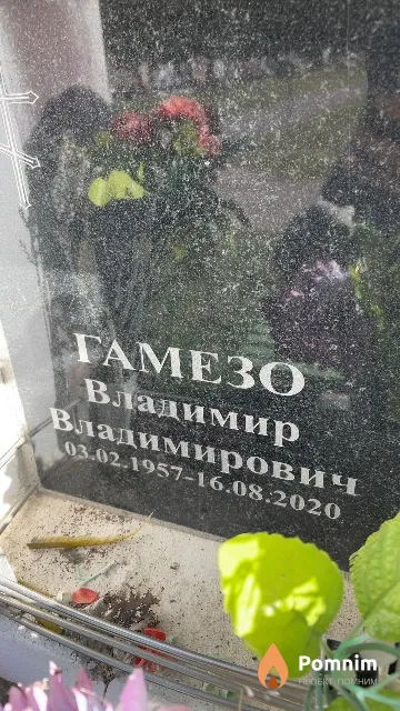 Гамезо Владимир Владимирович