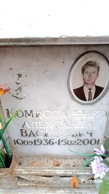 Комиссаренко Александр Васильевич
