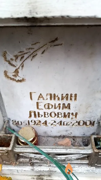 Галкин Ефим Львович