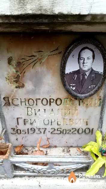Ясногородский Виталий Григорьевич