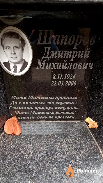 Шапоров Дмитрий Михайлович