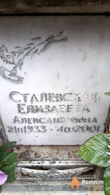 Сталевская Елизавета Александровна