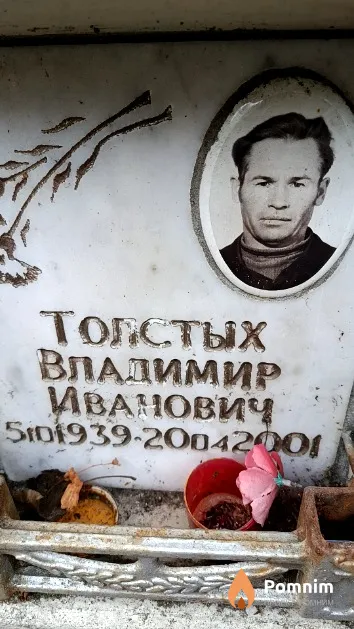 Толстых Владимир Иванович