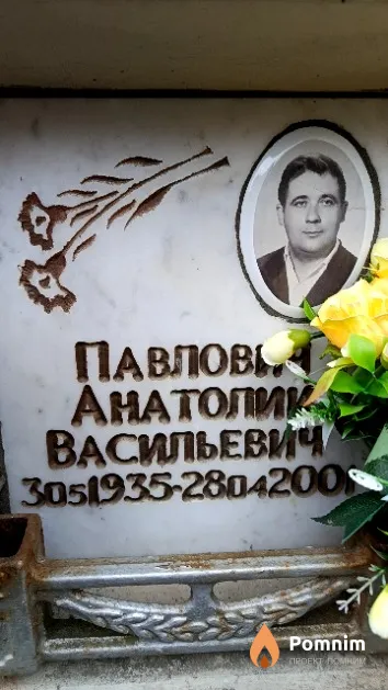 Павлович Анатолий Васильевич
