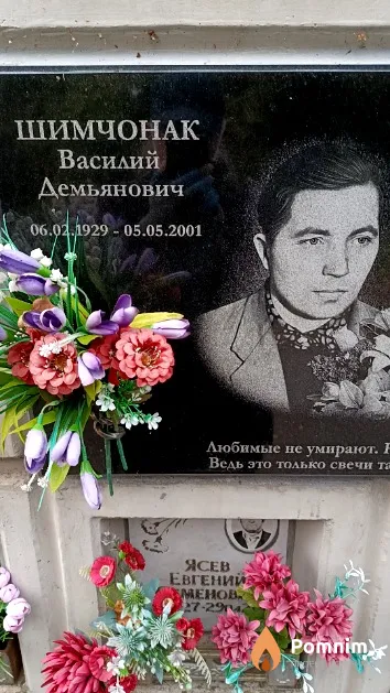 Шимчонак Василий Демьянович
