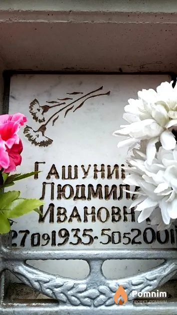 Гашунина Людмила Ивановна