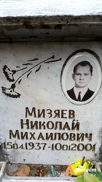 Мизяев Николай Михайлович