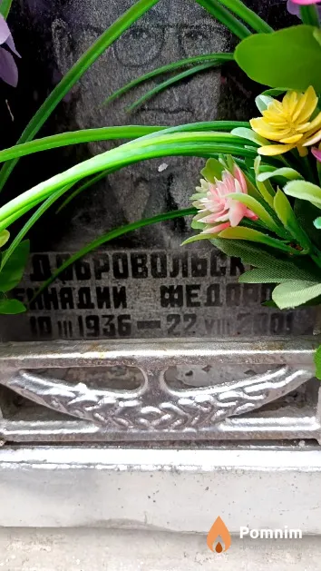 Добровольский Геннадий Федорович