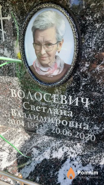 Волосевич Светлана Владимировна