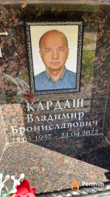 Кардаш Владимир Брониславович