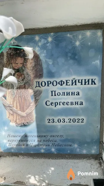 Дорофейчик Полина Сергеевна
