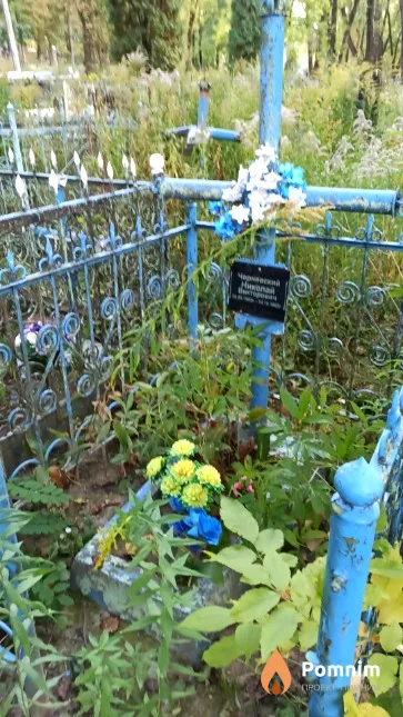 Чернявский Николай Викторович