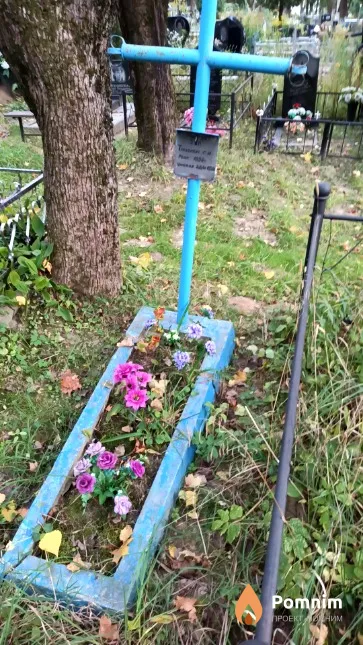 Тарасевич С И