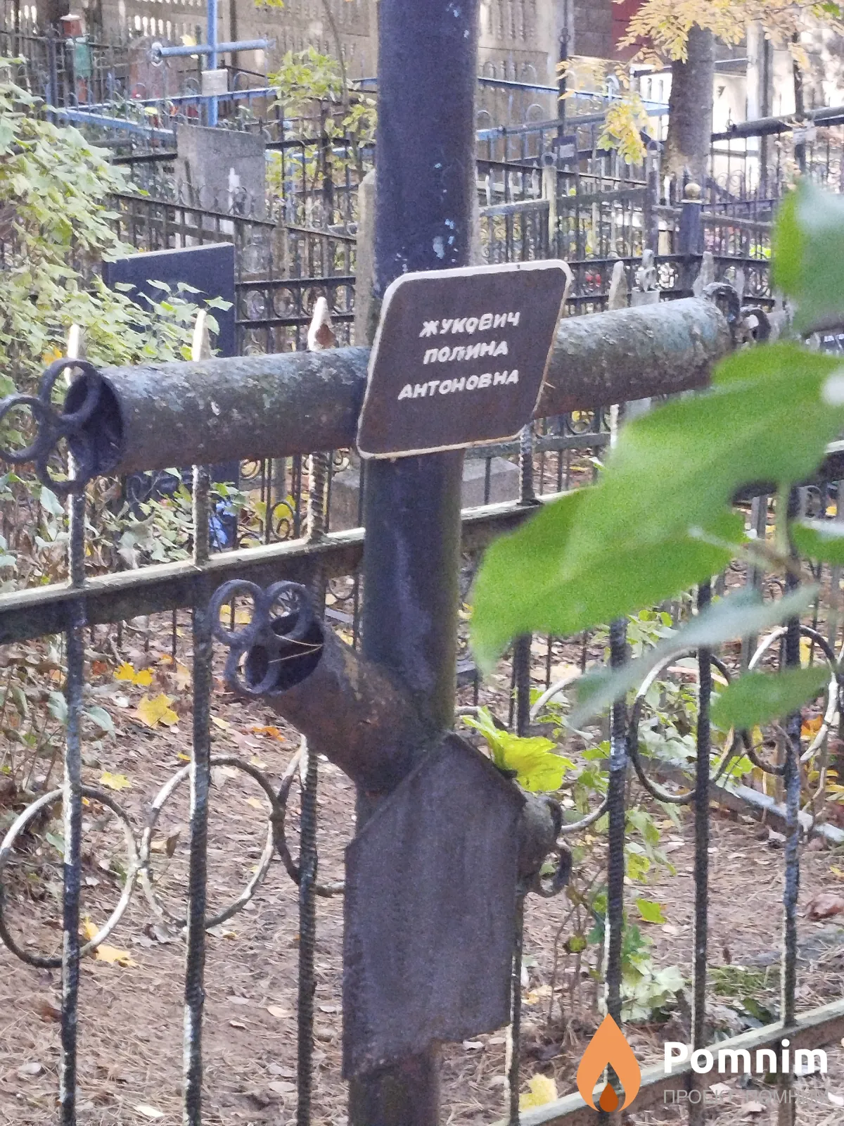 Жукович Полина Aнтоновна