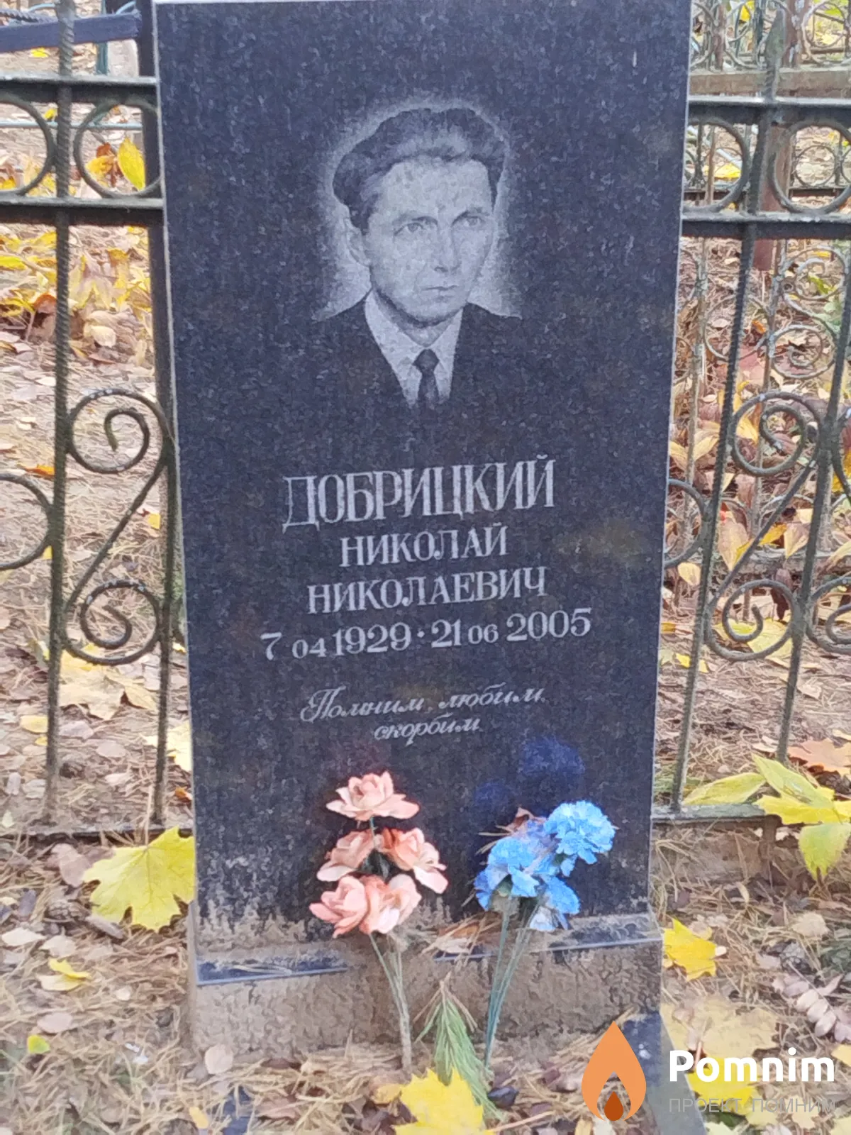 Добрицкий Николай Николаевич