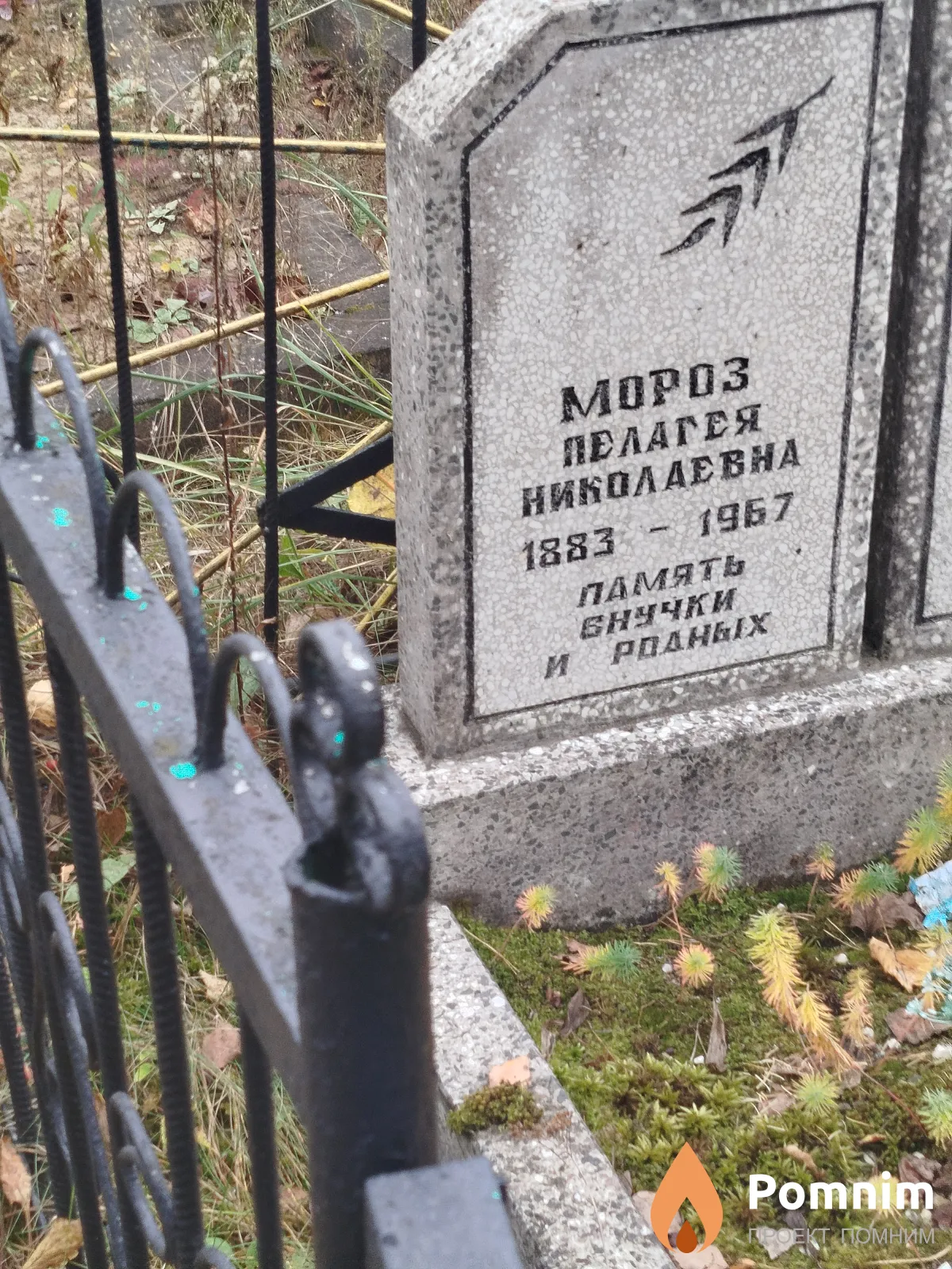Mopoз Пелагея Николаевна