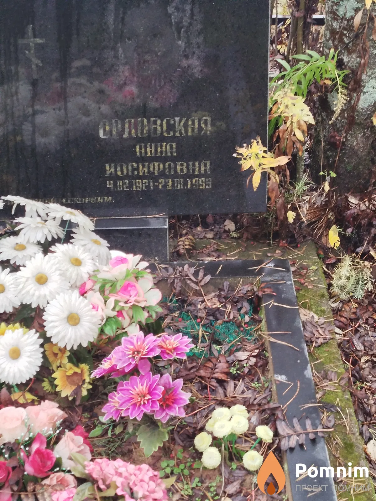 Орловская Aнна Иосифовна