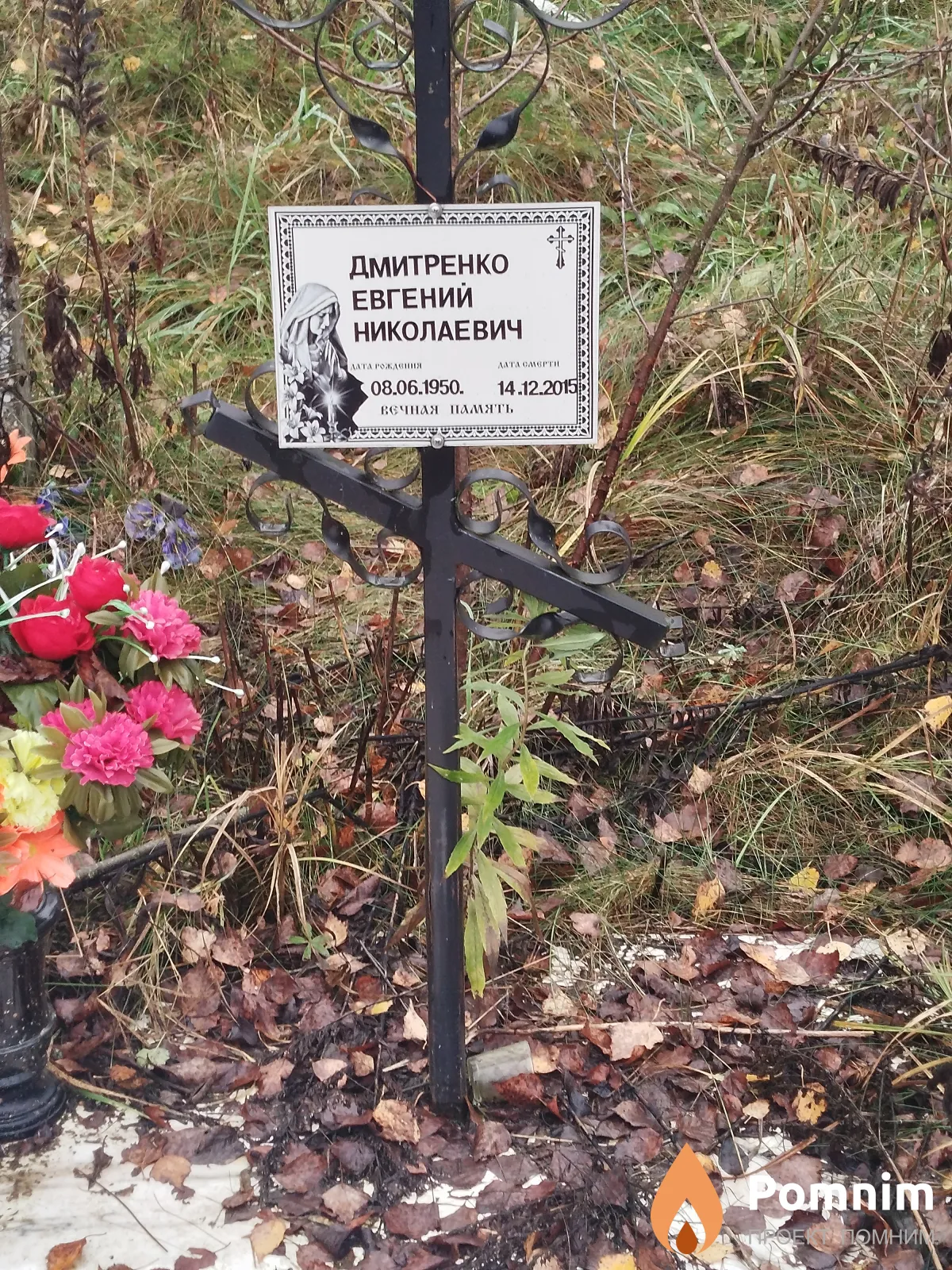 Дмитренко Евгений Николаевич