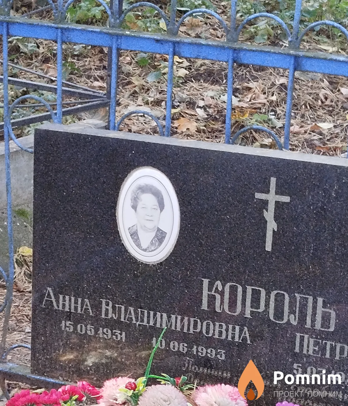 Король Анна Владимировна