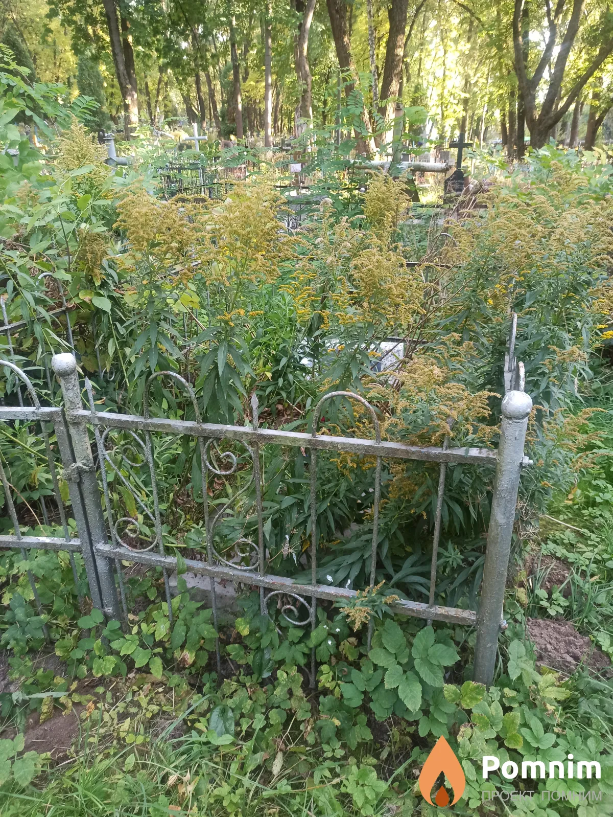 Корсунский Владимир Дмитриевич