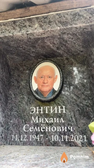 Энтин Михаил Семёнович