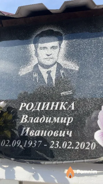 Родинка Владимир Иванович