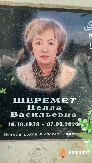 Шеремет Нелла Васильевна