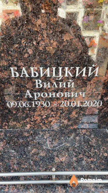 Бабицкий Вилий Аронович