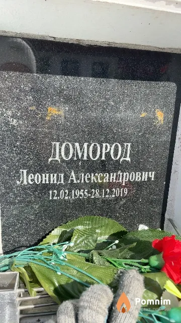 Домород Леонид Александрович