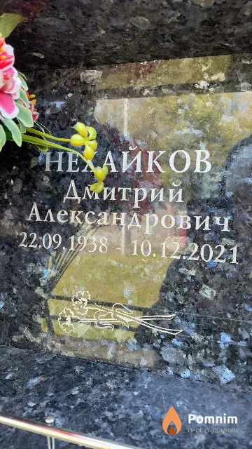 Нехайков Дмитрий Александрович