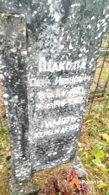 Шакола Пётр Иванович