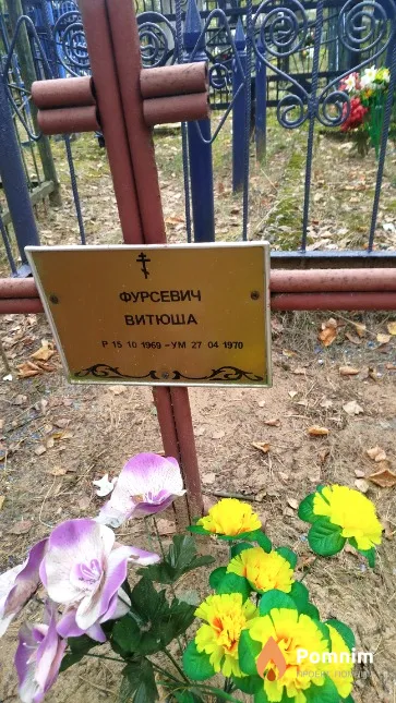 Фурсевич Виктор