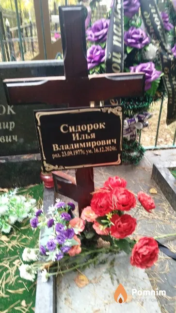 Сидорок Илья Владимирович