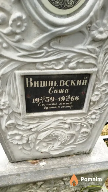 Вишневский Александр