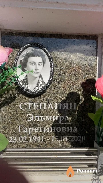 Степанян Эльмира Тарегиновна