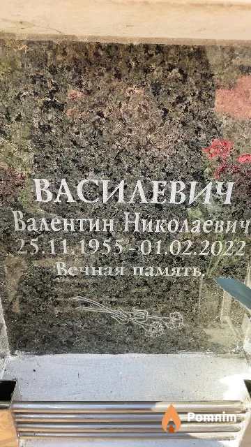 Василевич Валентин Николаевич