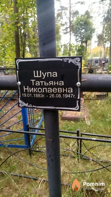 Шупа Татьяна Николаевна