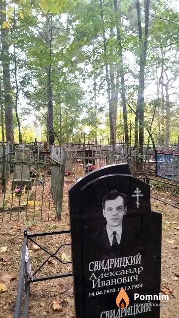 Свидрицкий Александр Иванович